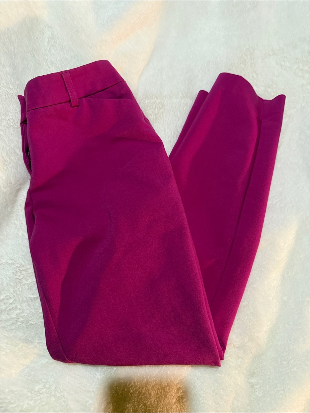 Women's Tailored Ponte Pants in Magenta
